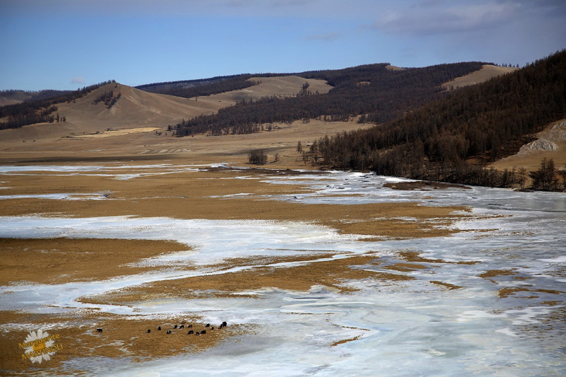 Mongolie-hiver-13